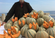 " LE STORIE DI MELAVERDE" torna in Sicilia tra i meloni