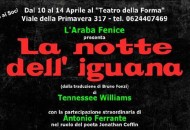 La Notte dell'Iguana, al Teatro della Forma spazio al ricordo di Williams