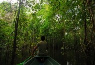Come visitare l'Amazzonia senza uscire dall'Italia?