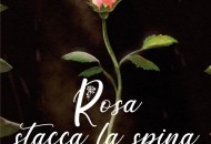 Rosa stacca la spina. Il nuovo romanzo di Igor Nogarotto Rosa stacca la spina. Il nuovo romanzo di Igor Nogarotto