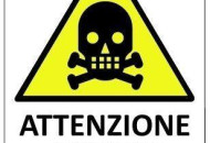 Marina Bis: Cassazione annulla la sentenza di Appello e riapre il caso amianto